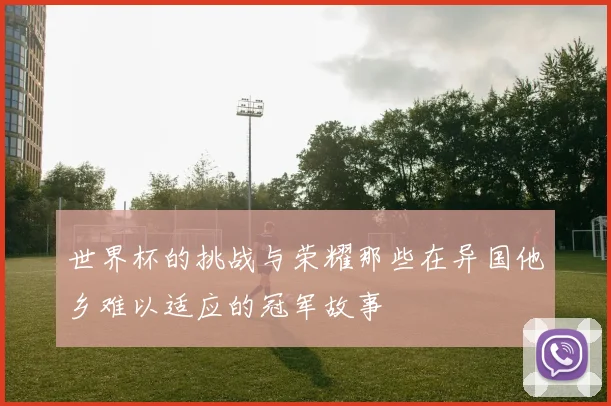世界杯的挑战与荣耀那些在异国他乡难以适应的冠军故事